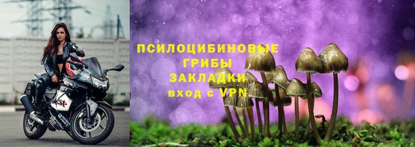 Альфа ПВП Володарск