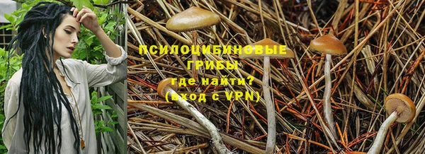 соль ск Волоколамск