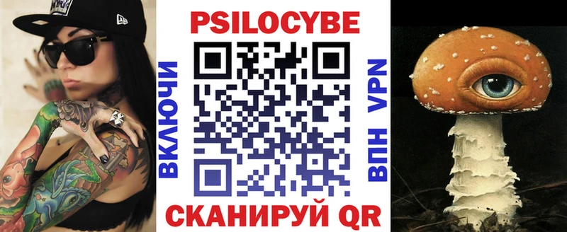 Галлюциногенные грибы Psilocybe  Каргополь 